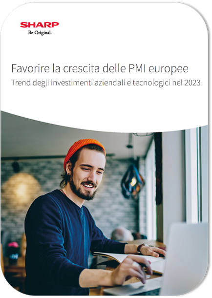 uomo al pc