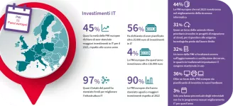 Infografica IT Service - ITA